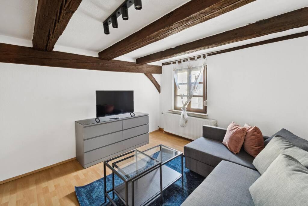 لاوف آن در بغنيتز Zentrales, Rustikales Apartment المظهر الخارجي الصورة